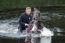 DRENCHED: A horse is washed in the River Eden. Picture: Owen Humphreys/PA Wire