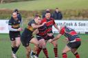 RUGBY: Kendal see dominant win over Altringham (Pictures: Richard Edmondson)