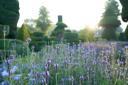 FLOWERS: A shot of Levens Hall's gardens