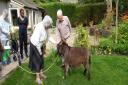 The residents had the chance to interact with the adorable animals