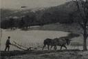 Mr Airey of Sandford Farm ploughing among the floods at Staveley-in-Cartmel in 1947