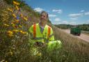 Highways England ecologist Leo Gubert at the company's grassland planting site