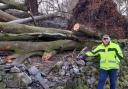 DIRECTOR: Henry Wild next to one of hundreds of trees felled by storms