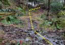One of the top performing stories from this week was of a new woodland path near Windermere