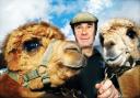 Westmorland County Show 2005 competitor Robin Sandys-Clarke of Sedbergh with his alpacas