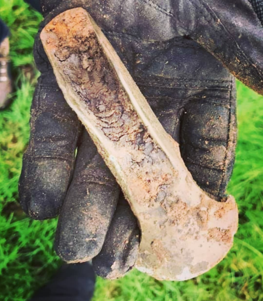 FIND: Bronze Age axe find