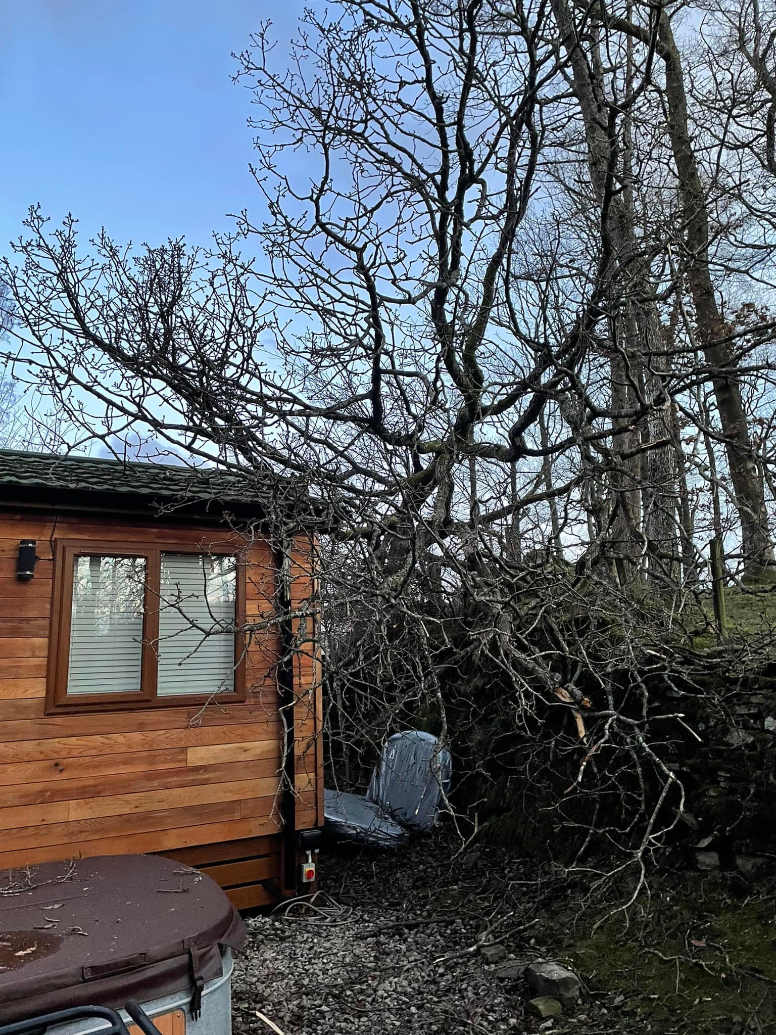 DAMAGE: Fallen trees at Crake Valley Holiday Park