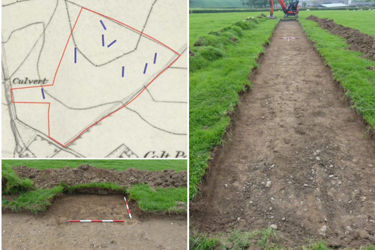 Prehistoric human relics found in proposed caravan park site