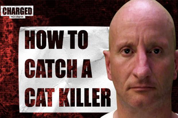 The Brighton Cat Killer – Watch the mini documentary here