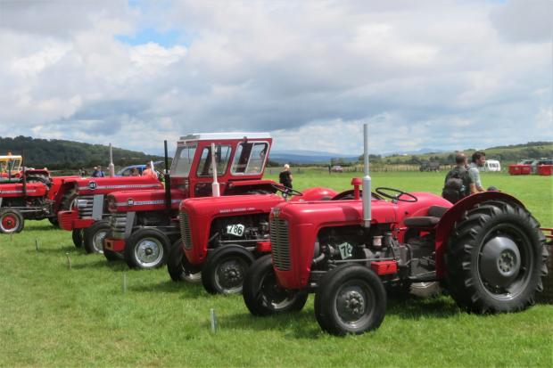 The Westmorland Gazette: Red tractors at The Cumbria Stream Gathering