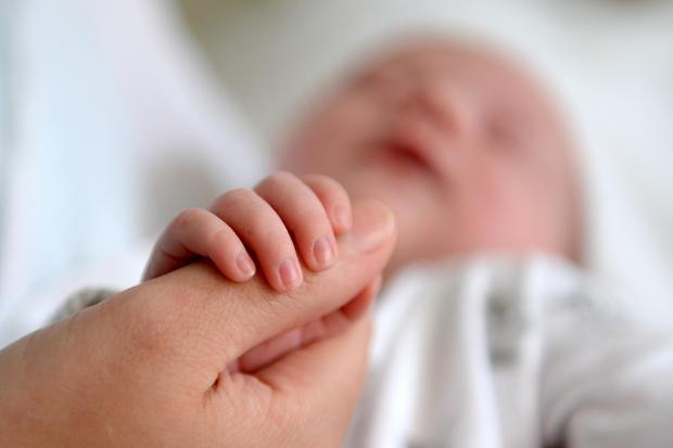 South Lakeland's fertility rate rose last year