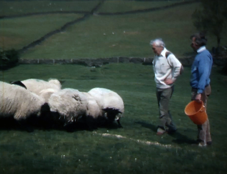 Selection of rare Cumbrian farming films to be shown at Rheged
