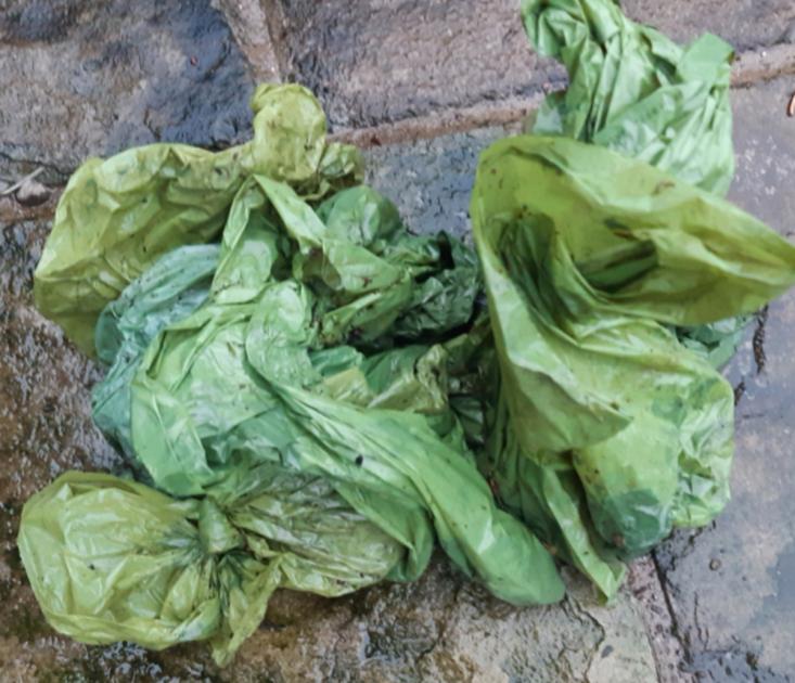 Multiple dog poo bags dumped on a footpath in Beetham | The Westmorland Gazette 