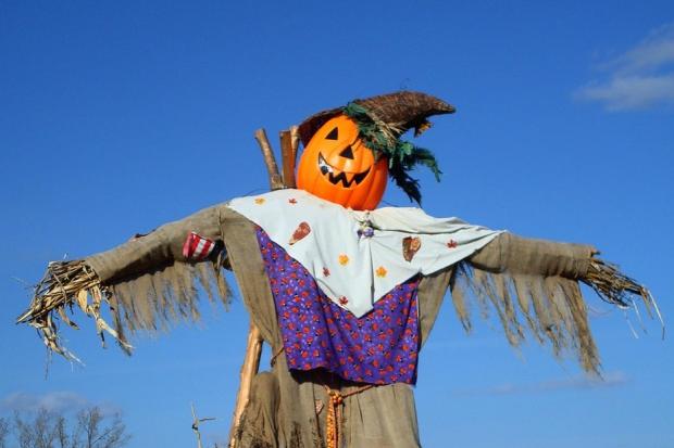 Could scarecrows be the key to raising money for local charities?