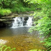 Shaw Gill: there are three small waterfalls and two footbridges so walkers could add a small loop and view the falls from both sides
