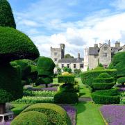 HOME: Levens Hall has set a 100-garden target, as it aims to boost participation in World Topiary Day on May 12, which it created in 2021