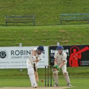 CRICKET: Netherfield plays on in the division (pictured previous week)