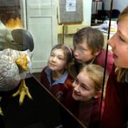 BOOST: Olivia Dobson, Alexander Rockliffe, Lydia Dobson and Alicia Woollard get close up to the dodo model at Kendal Museum.