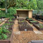 COMMUNITY: The South Lakes Community Garden, at Rinkfield allotments in Kendal, opened in May.