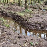 RESTORATION: Shallow scrapes already holding water post works