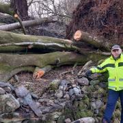 DIRECTOR: Henry Wild next to one of hundreds of trees felled by storms