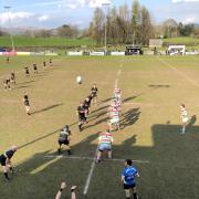 RUGBY: Kendal v Stockport line out (Picture: Craig Ross)