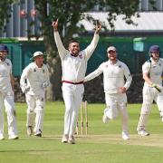 Sagar Udeshi celebrates after taking the wicket of Harry Lee  (Report and Photograph by Richard Edmondson)