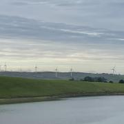 The Armistead Wind Farm
