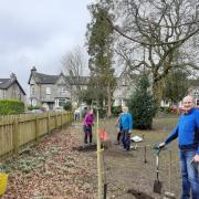 Friends of Fletcher Park planting bulbs at a previous work party