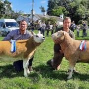 The champion sheep announced at Selside & Grayrigg Agricultural Show