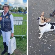 Jane Butler has entered her dog, Dora, into the Westmorland County Show