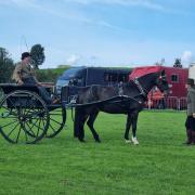 Carriage riders taking a small rest at Westmorland County Show