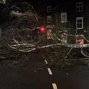 A tree blocking the road in Ambleside