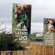 Fresh allegations have been made against South Lakes Safari Zoo