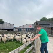 Jon Fell, farming apprentice at Ernest Cook Trust