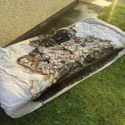 Burnt mattress as a result of the fire.