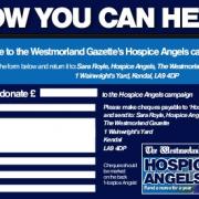 Fundraising expert offers advice to Hospice Angels supporters