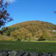 Craggy Wood from Staveley