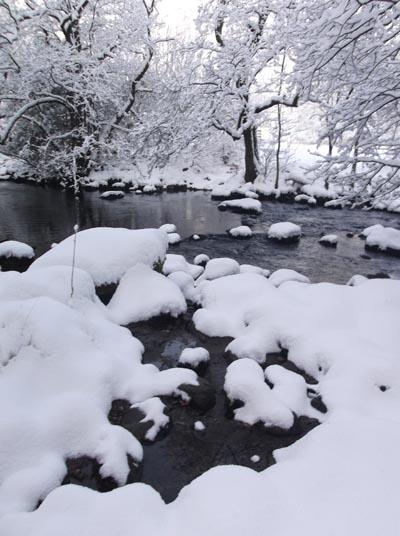 Pictures of snow landscapes from across the Lake District. Rydal by Frank Evans.