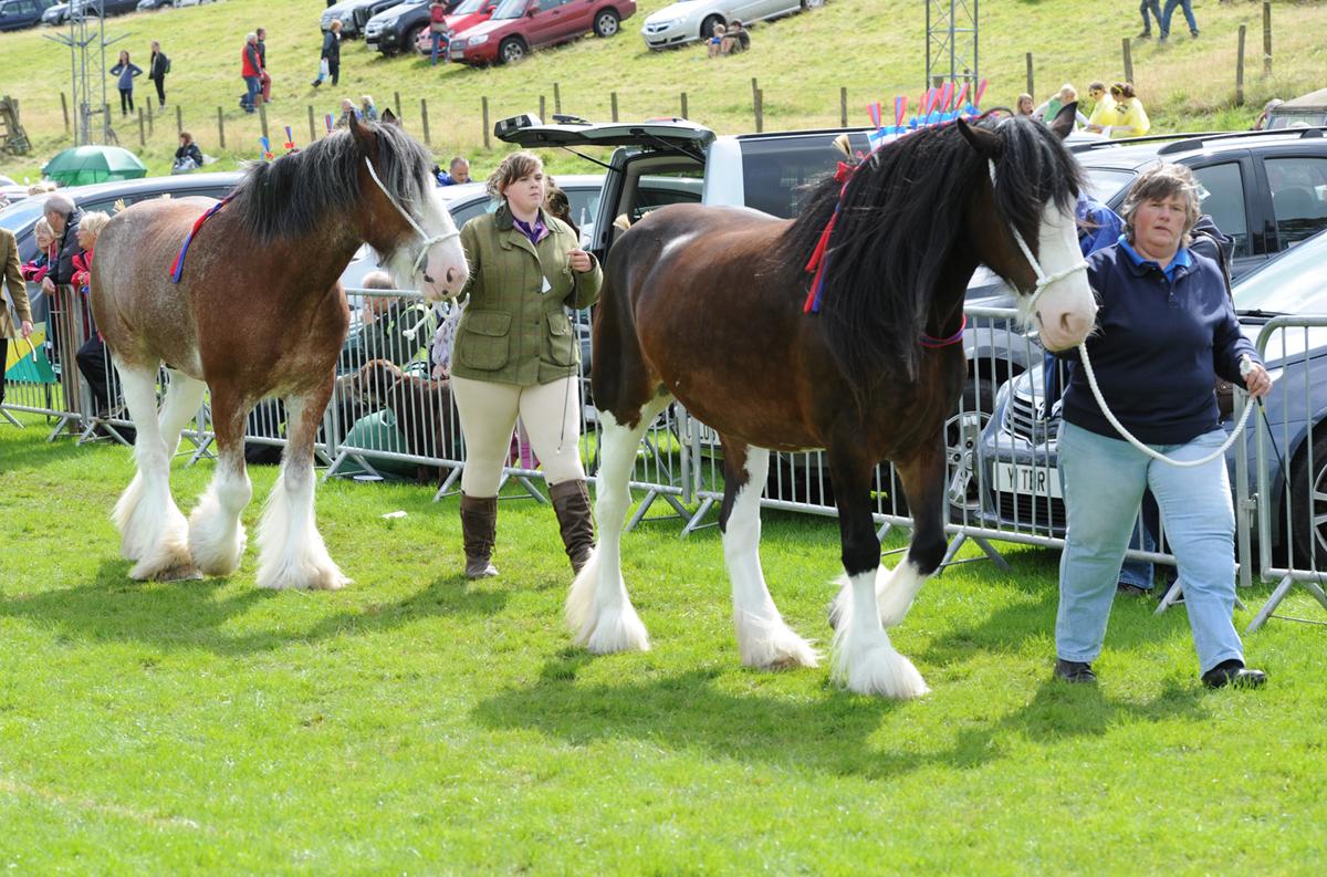 Lunesdale Show, Underley Park, Kirkby Lonsdale