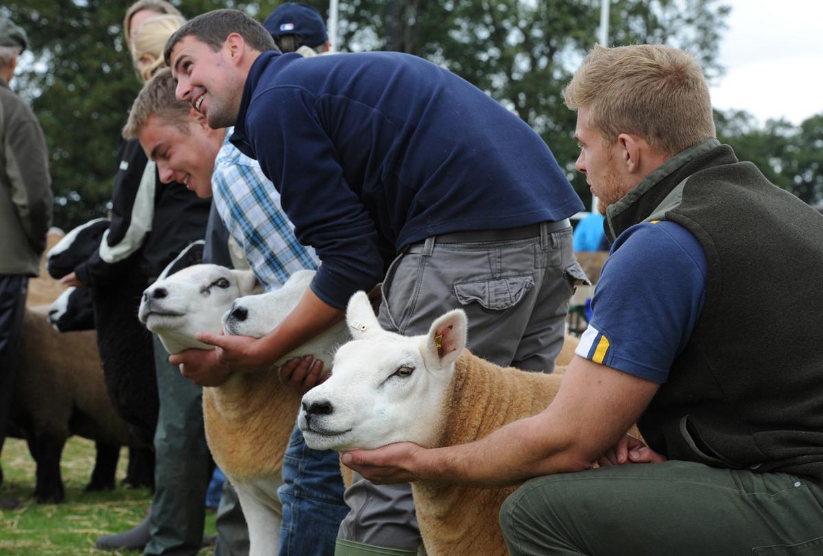 Lunesdale Show, Underley Park, Kirkby Lonsdale