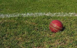 An application related to Sedgwick Cricket Club has been approved. Picture: Pixabay