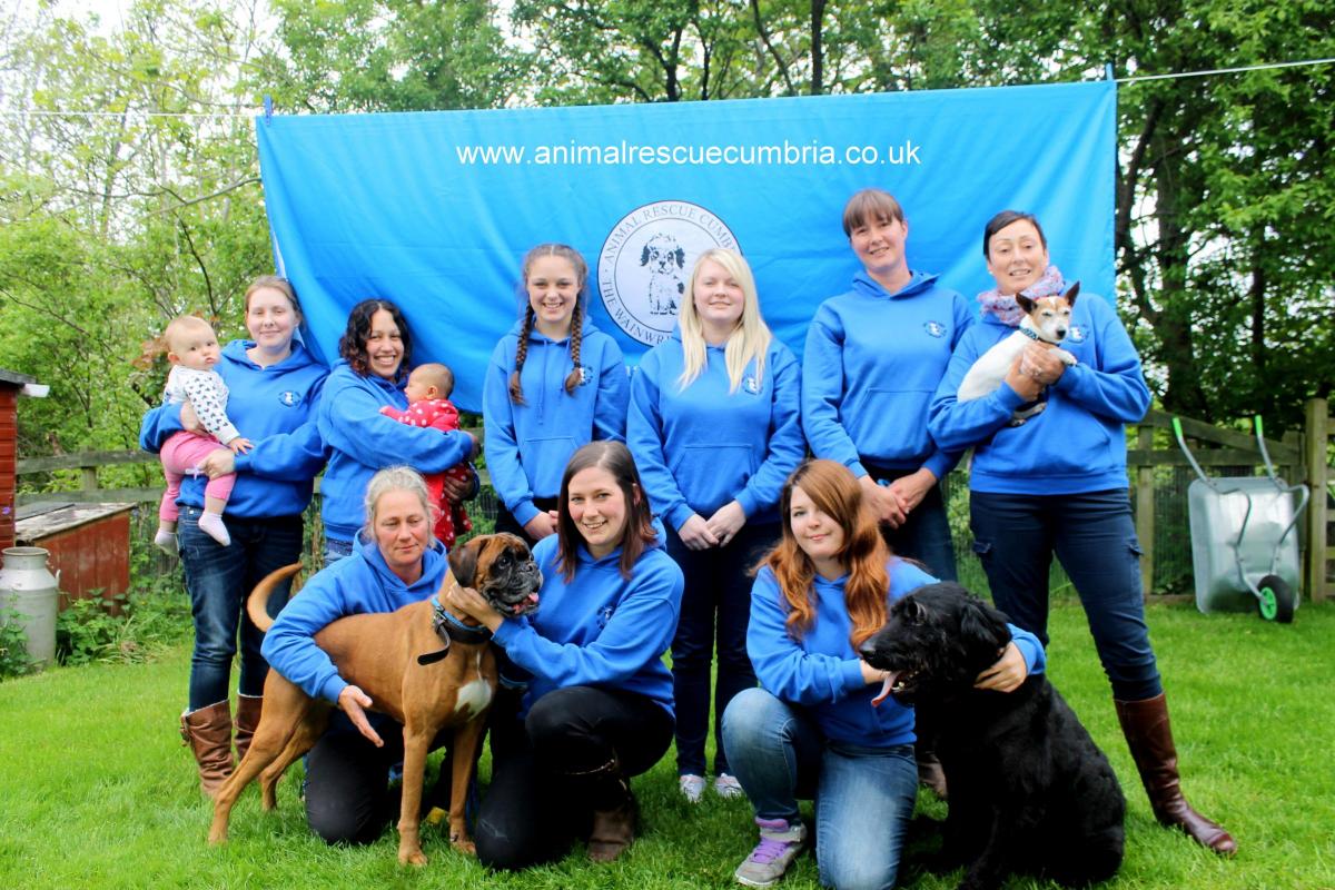 Animal rescue centre celebrates a successful year after 111 dogs and 199  cats are rehomed | The Westmorland Gazette