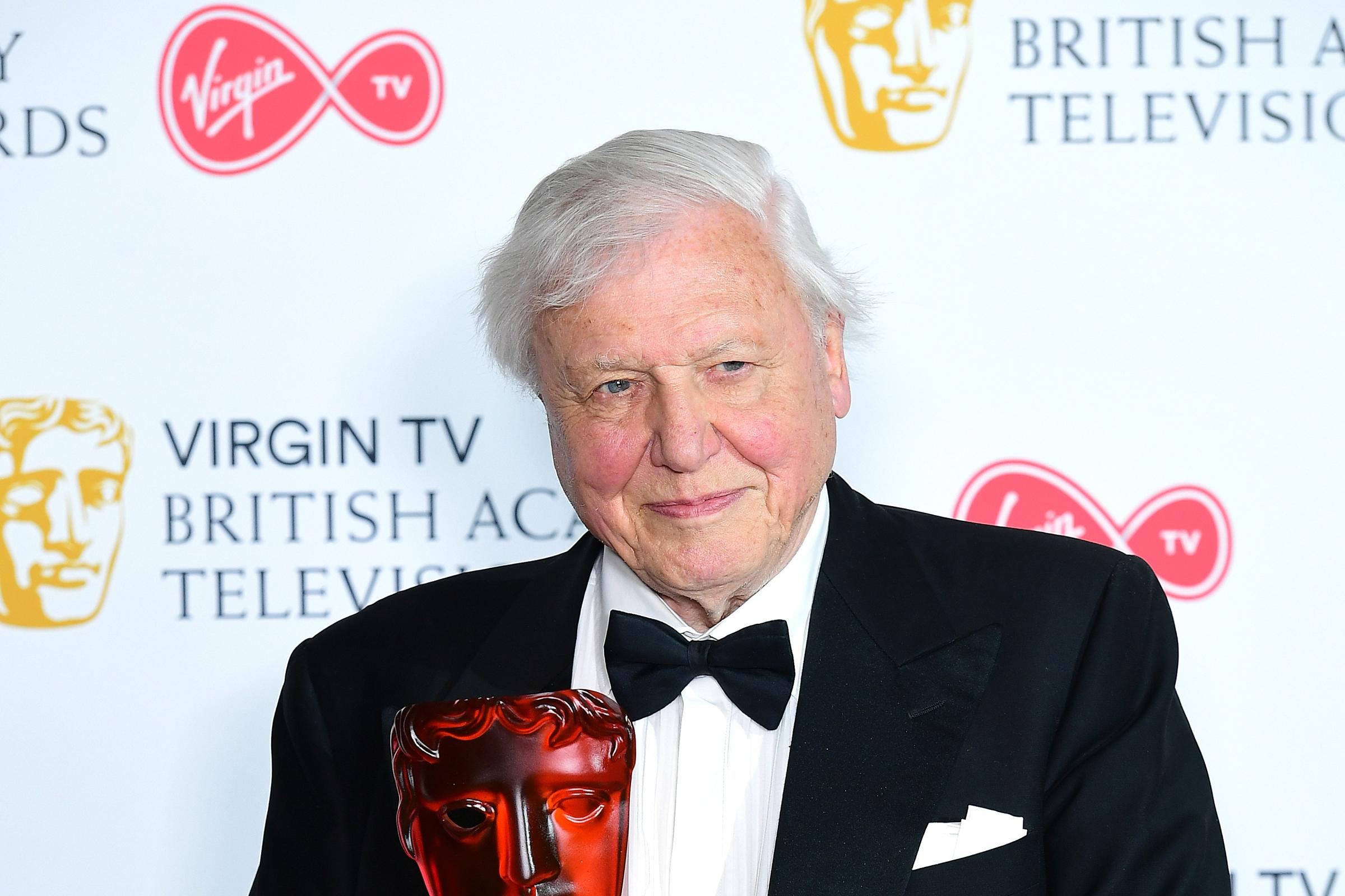 Sir David Attenborough to turn DJ – playing funeral gongs and chanting