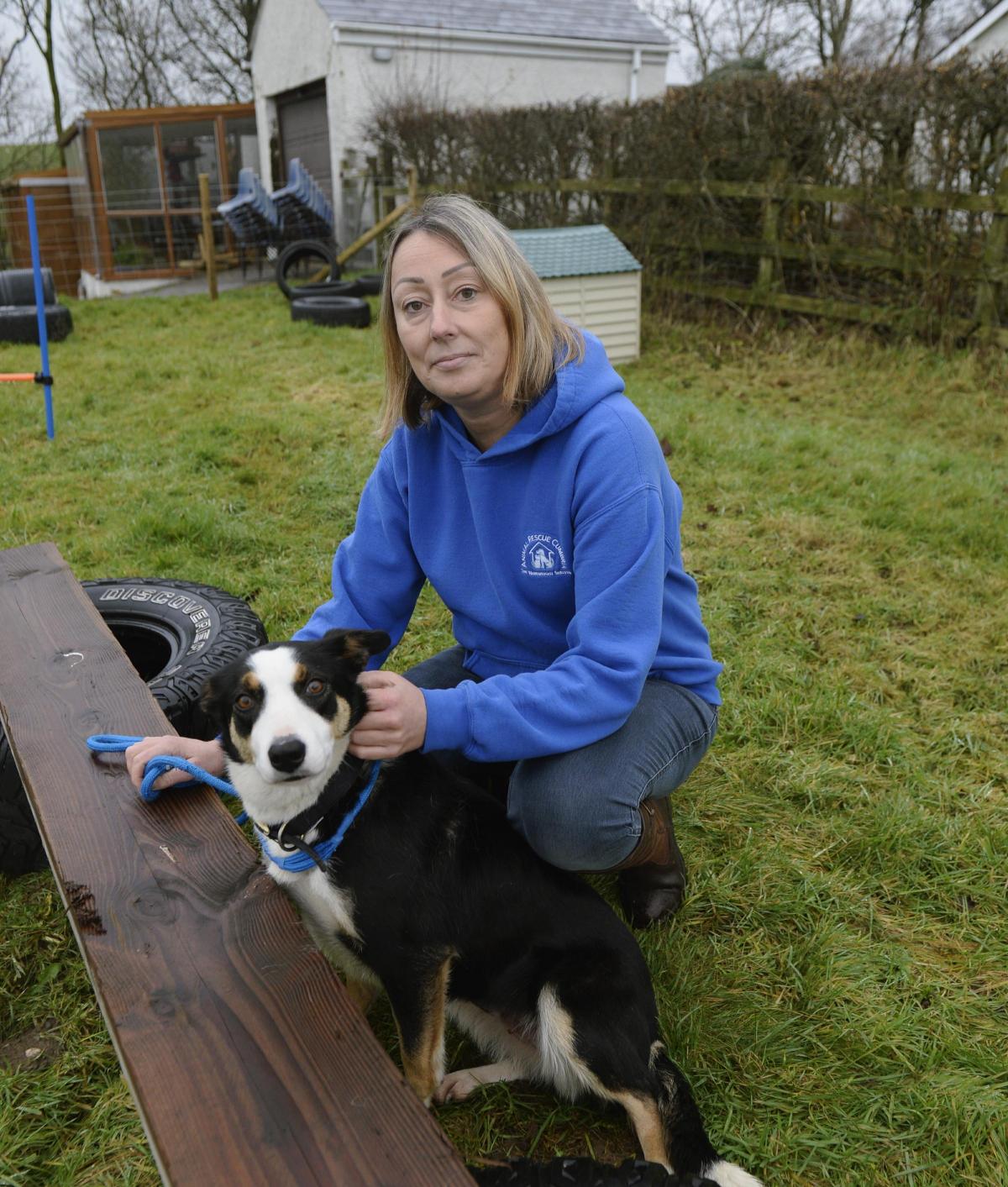 Wainwright's animal rescue centre seeks new shelter in South Lakes | The  Westmorland Gazette